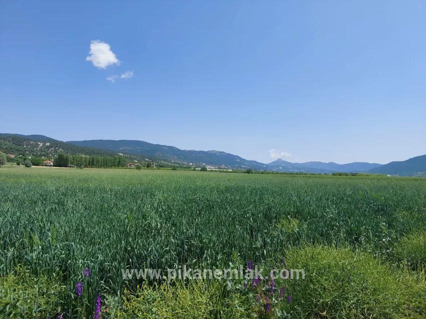 Terrain For Sale in Bıçakçı Nbh. Çameli - Field Zoned - 5.333 m²