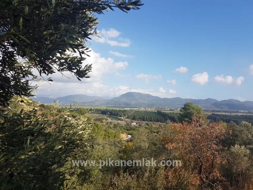 Field For sale in Fevziye Nbh. Ortaca - Field Zoned - 7.600 m²