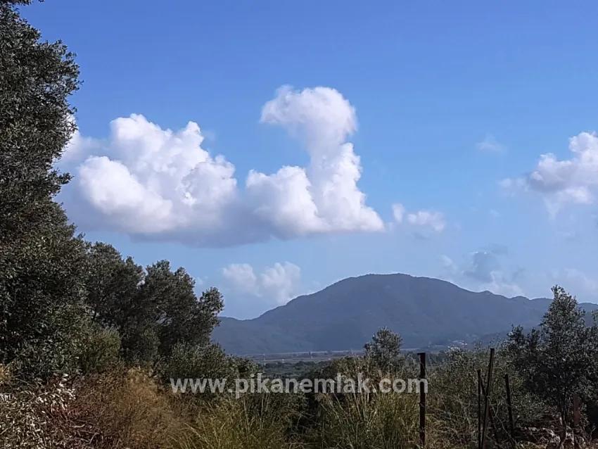 Field For sale in Fevziye Nbh. Ortaca - Field Zoned - 7.600 m²