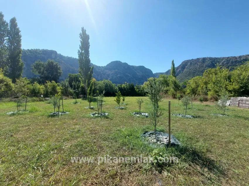 4+1 Bedroom Detached house For sale in Okçular Nbh. Ortaca - 240 m²