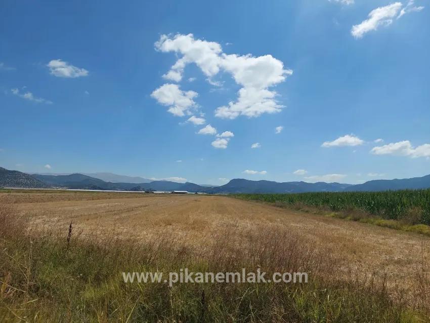 Field For sale in Yuva Köyü Nbh. Tefenni Merkezköyler - Field Zoned - 5.900 m²