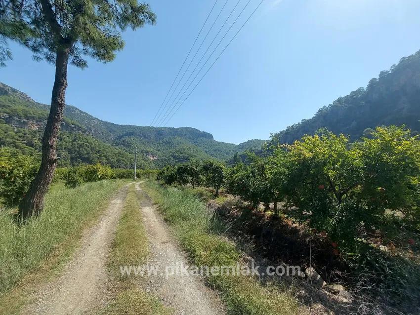 Field For sale in Dalyan Nbh. Ortaca - Field Zoned - 4.500 m²