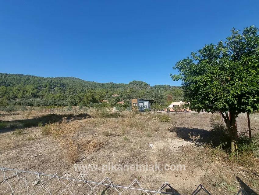 Terrain For sale in Çandır Nbh. Köyceğiz - Field Zoned - 1.000 m²