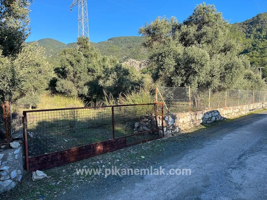 Field For sale in Ekincik Nbh. Köyceğiz - Field Zoned - 13.320 m²