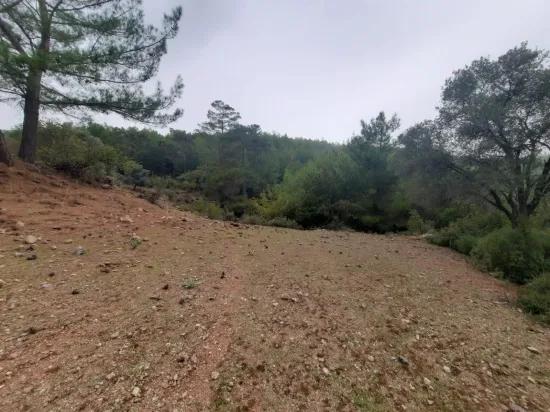 Muğla Ortaca In Gökbel 24.000 M² Within Nature Detached Plot