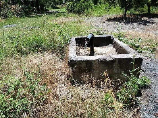 In Köyceğiz, Near Göle, Detached Titled 2.650 M2 Citrus Garden For Sale, Or Exchange Possible.