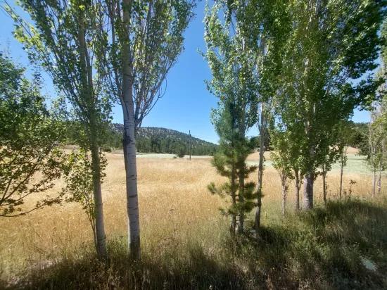 In Çameli Cumalan To The Old Acıpayam Road Brand‑new Detached 6 230 M2 Land For Sale Or Exchange