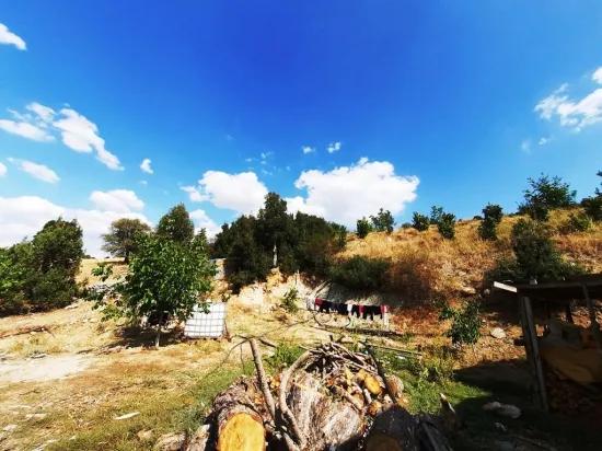 5 000 M2 detached land, 2+1 house and 200 M2 barn for sale In Çameli Kızılyaka