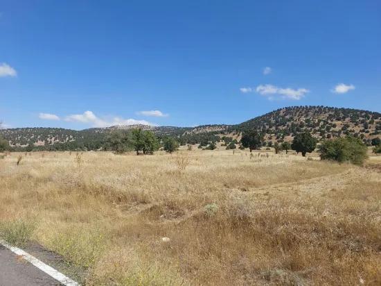 In Burdur Tefenni Yuva 5.900 m² main road zero location detached titled field For Sale