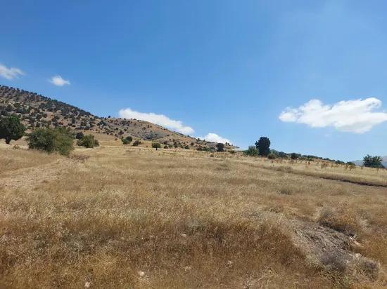 In Burdur Tefenni Yuva 5.900 m² main road zero location detached titled field For Sale