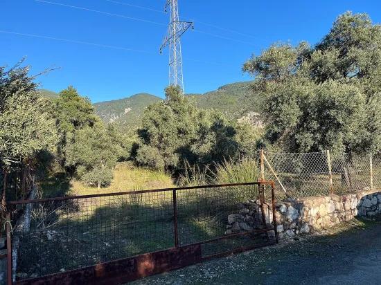 Köyceğiz, In Ekincik, near the beach, suitable for Investment, 1.600 m2 land for sale
