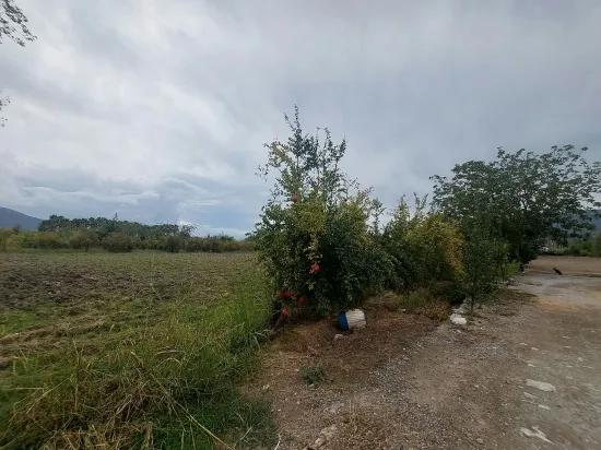 In Muğla Dalyan 7 224 m2 Detached field For Sale. Or from Ortaca Apartment exchange Is possible.