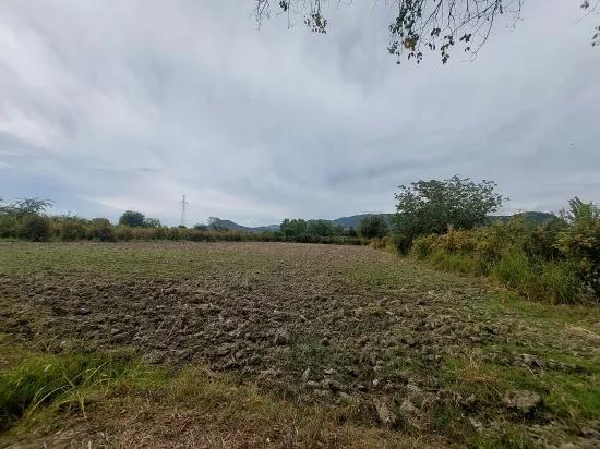 In Muğla Dalyan 7 224 m2 Detached field For Sale. Or from Ortaca Apartment exchange Is possible.