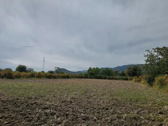 In Muğla Dalyan 7 224 m2 Detached field For Sale. Or from Ortaca Apartment exchange Is possible.