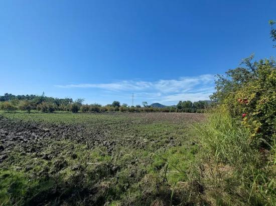 Detached Field Of 7 224 M2 For Sale In Dalyan, Muğla, Or Apartment Exchange Possible From Ortaca.