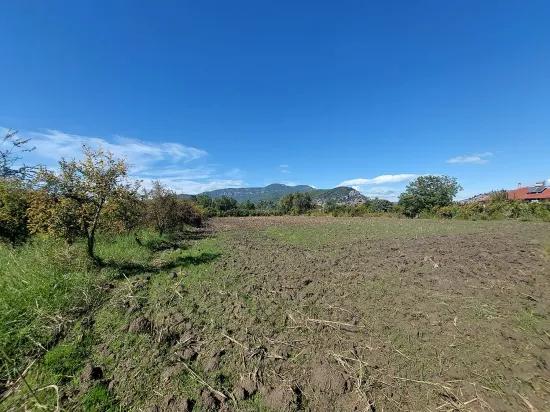 Detached Field Of 7 224 M2 For Sale In Dalyan, Muğla, Or Apartment Exchange Possible From Ortaca.