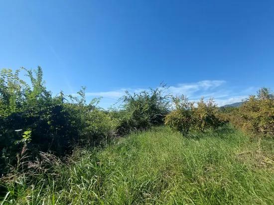Detached Field Of 7 224 M2 For Sale In Dalyan, Muğla, Or Apartment Exchange Possible From Ortaca.
