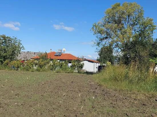 Detached Field Of 7 224 M2 For Sale In Dalyan, Muğla, Or Apartment Exchange Possible From Ortaca.