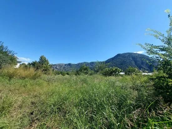 Detached Field Of 7 224 M2 For Sale In Dalyan, Muğla, Or Apartment Exchange Possible From Ortaca.