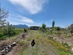 2+1 Bedroom Detached house For sale in Tepearası Nbh. Ortaca - 9.647 m²