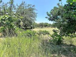 Field For Sale in Toparlar Nbh. Köyceğiz - Field Zoned - 2.650 m²