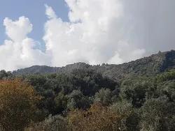 Field For sale in Fevziye Nbh. Ortaca - Field Zoned - 7.600 m²