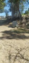 Vineyards & orchards For sale in Eldirek Nbh. Fethiye - Vineyards & orchards Zoned - 600 m²
