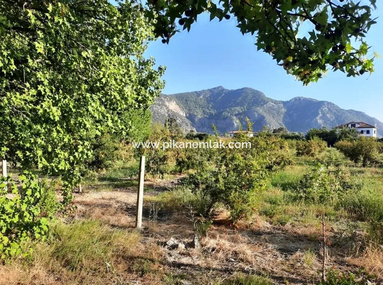 Land Suitable For Investment For Sale In Mugla Dalyan Marmarlı