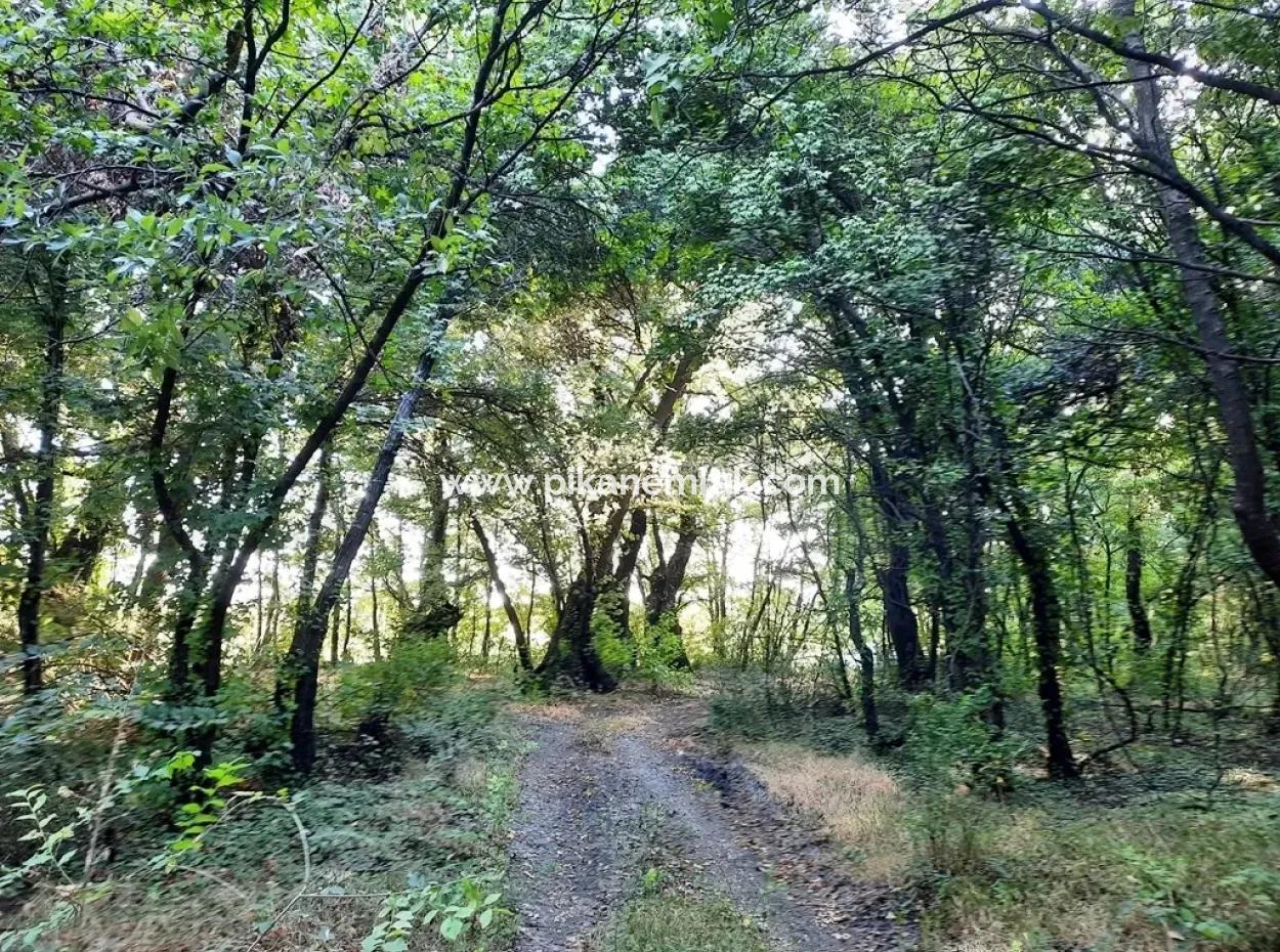 Land Suitable For Investment For Sale In Mugla Dalyan Marmarlı