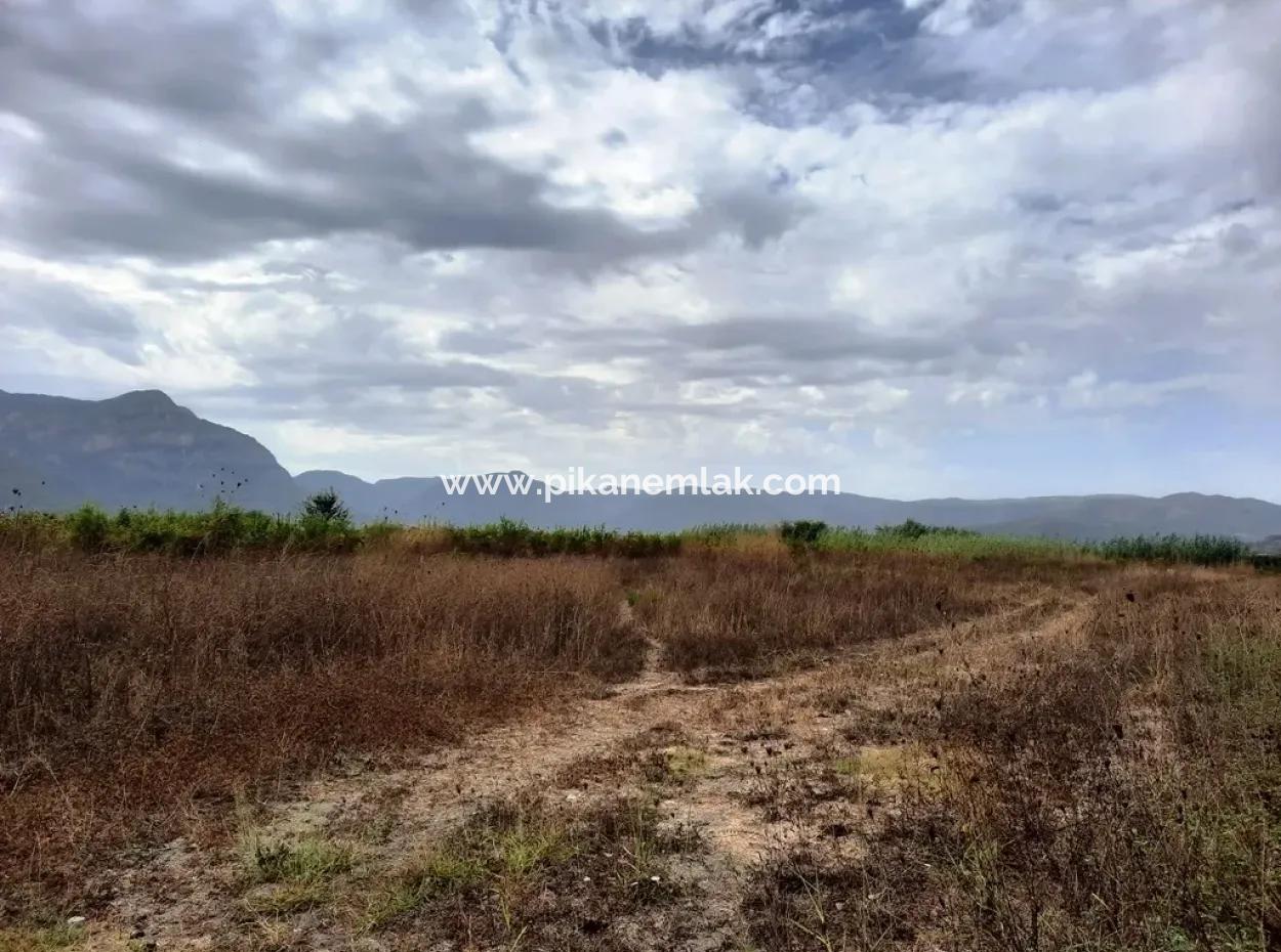 Fertile Land For Sale In Ortaca Eskiköy