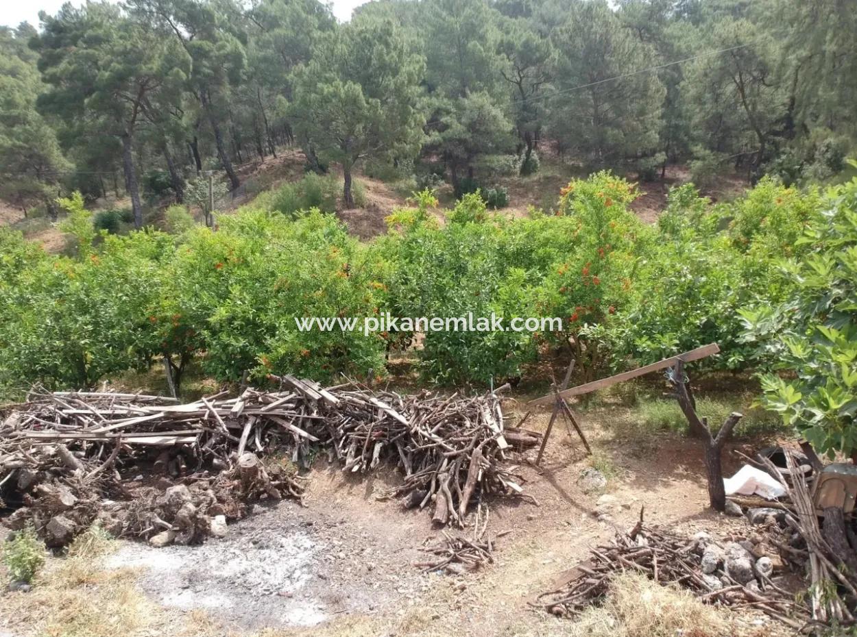 Land With Lake Views For Sale Between Ortaca Tepearasi