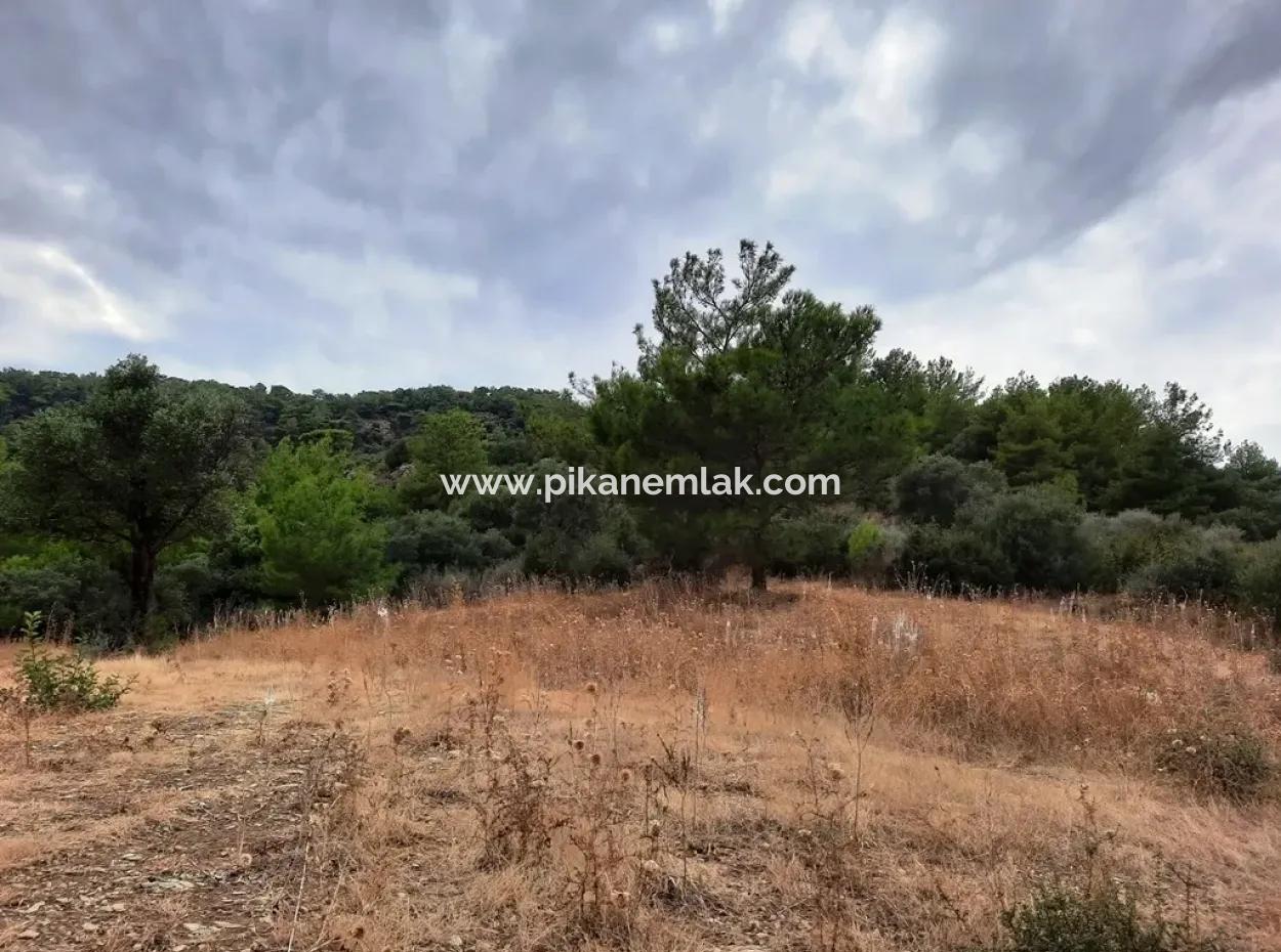 Mugla Ortaca Sarıgerme 880 M2 Full Sea And Nature View Plot For Sale