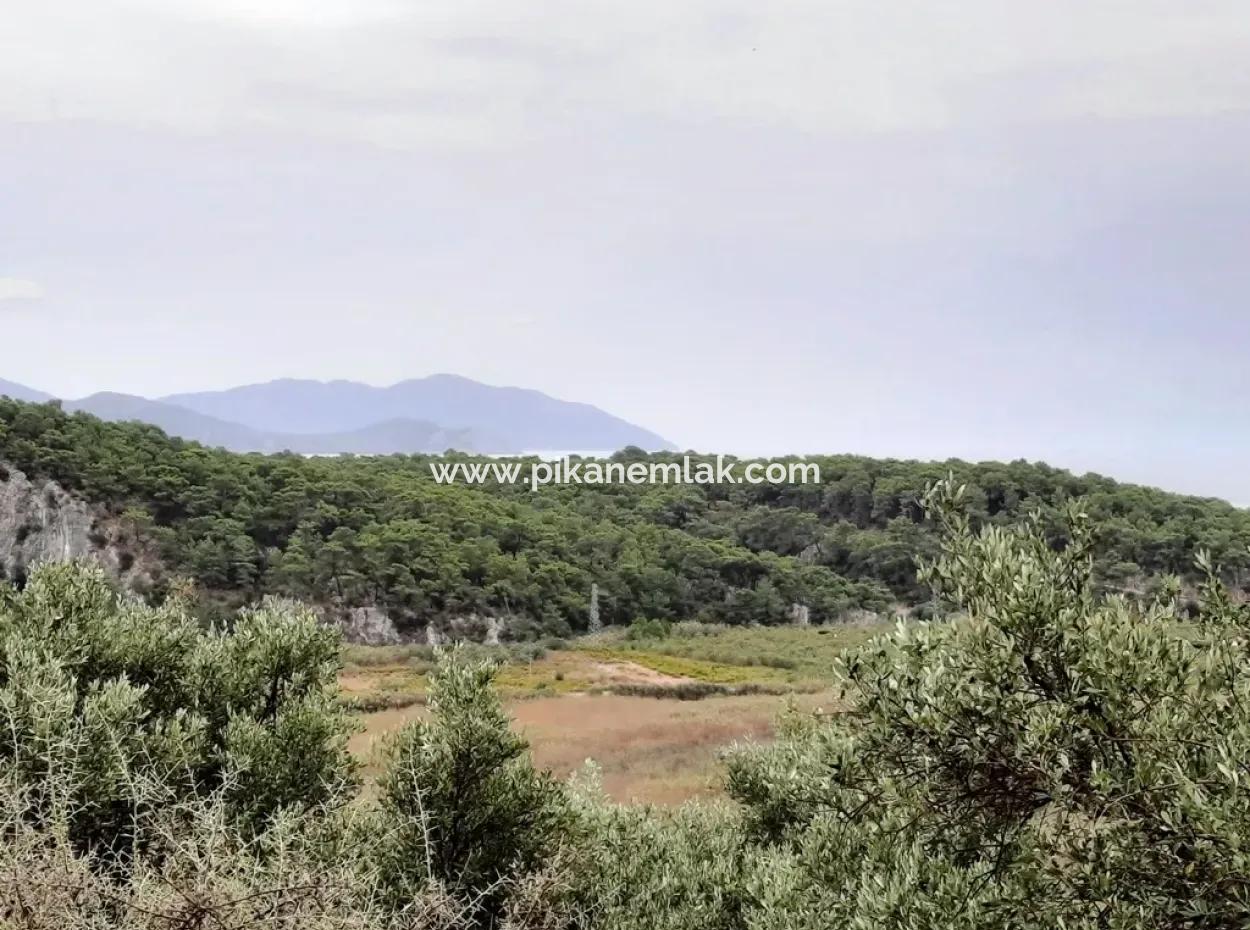 Mugla Ortaca Sarıgerme 880 M2 Full Sea And Nature View Plot For Sale