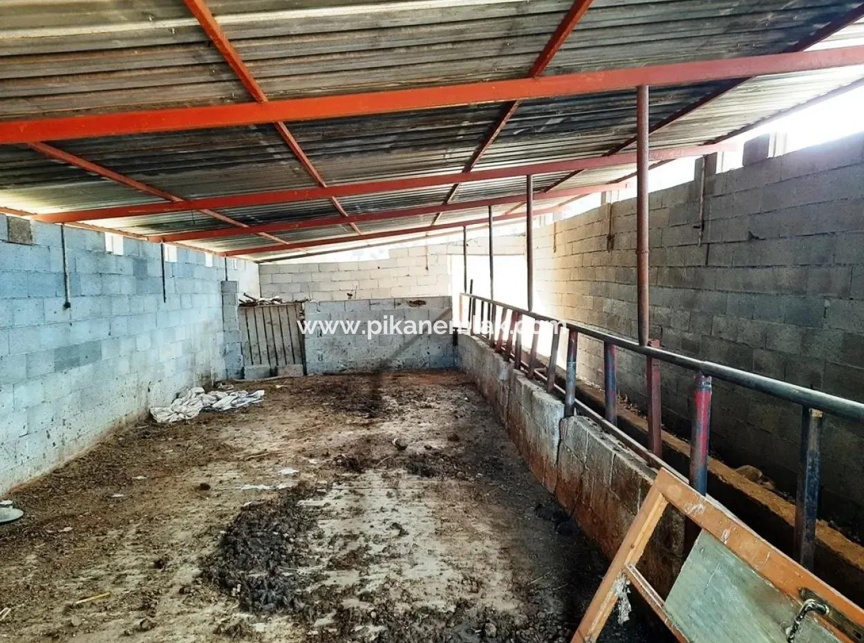 Denizli Çameli Cevizli 2 700 M2 Land And Village House For Sale