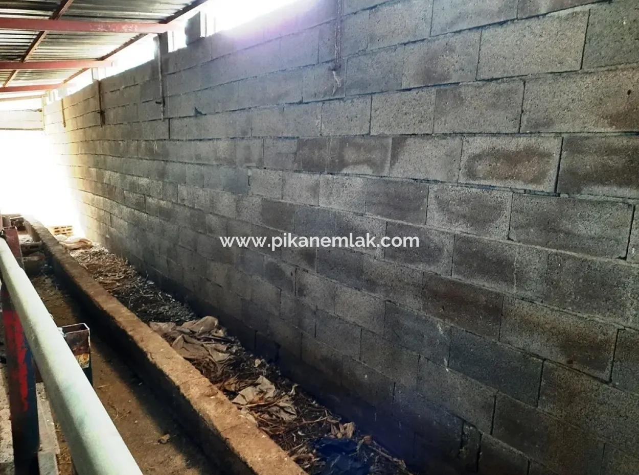 Denizli Çameli Cevizli 2 700 M2 Land And Village House For Sale