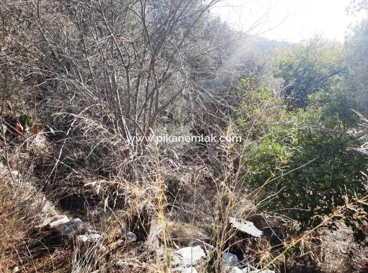 Detached Village House With Sea And Nature Views For Sale In Ula Gokova