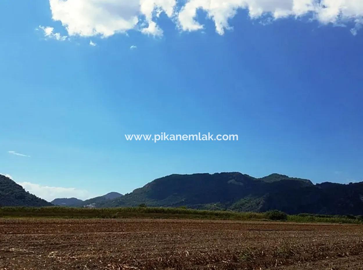 Fertile Bargain Land For Sale In Muğla Ortaca Güzelyurt