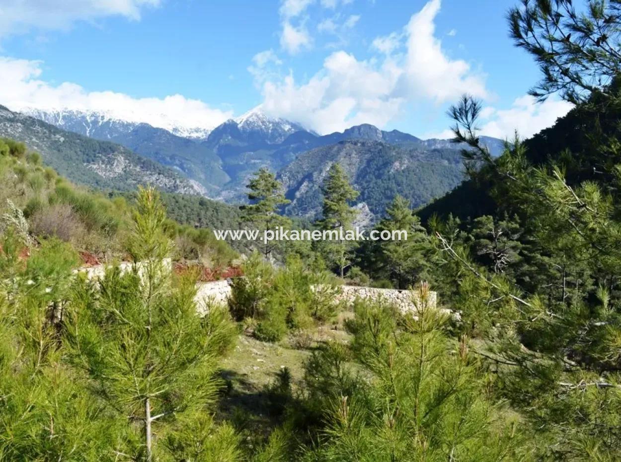 Zoning Land For Sale In Fethiye Grapes Kizilbel