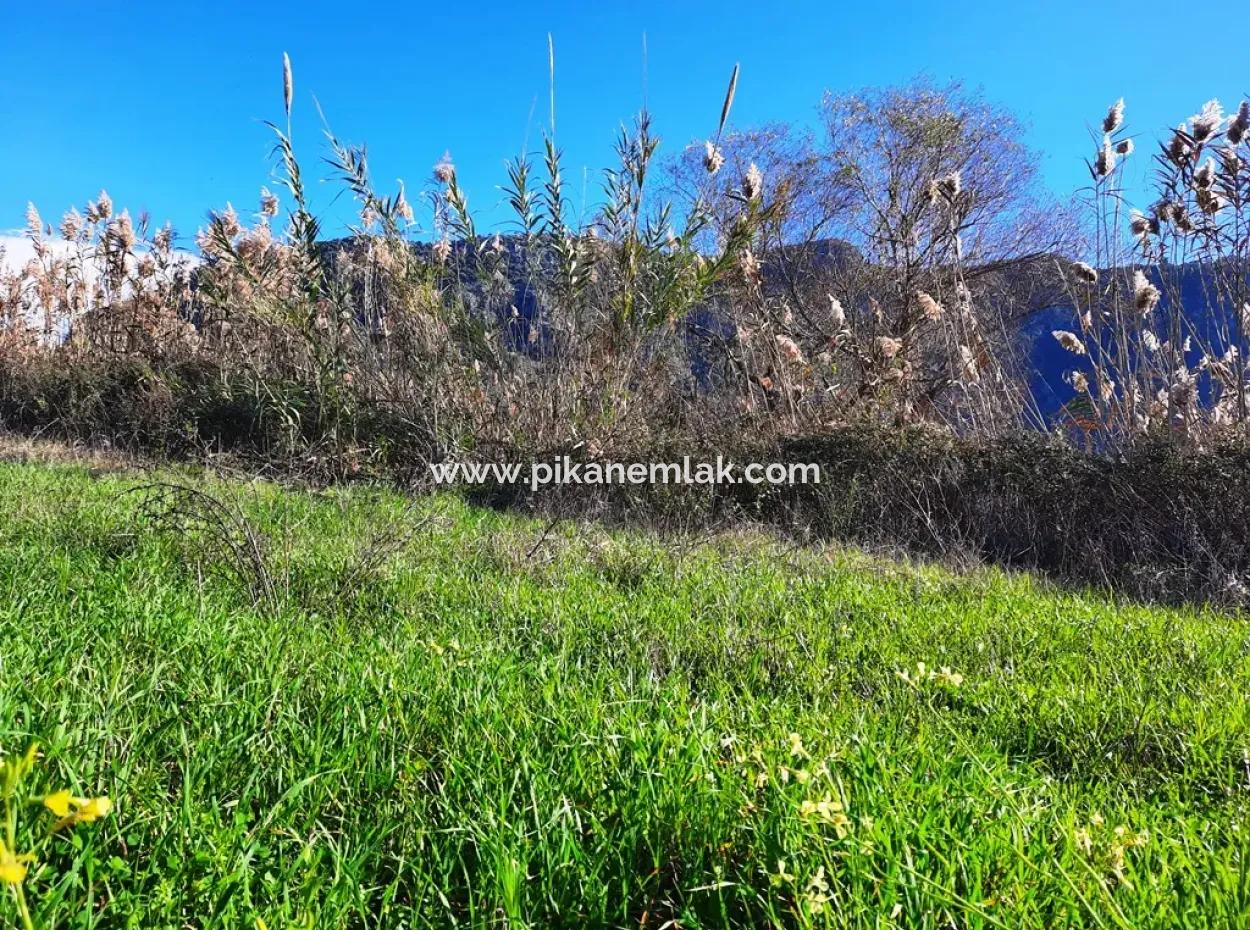Mugla Ortaca Dalyan Is Also Fertile Land Suitable For 9 300 M2 Investment With Road Facades For Sale