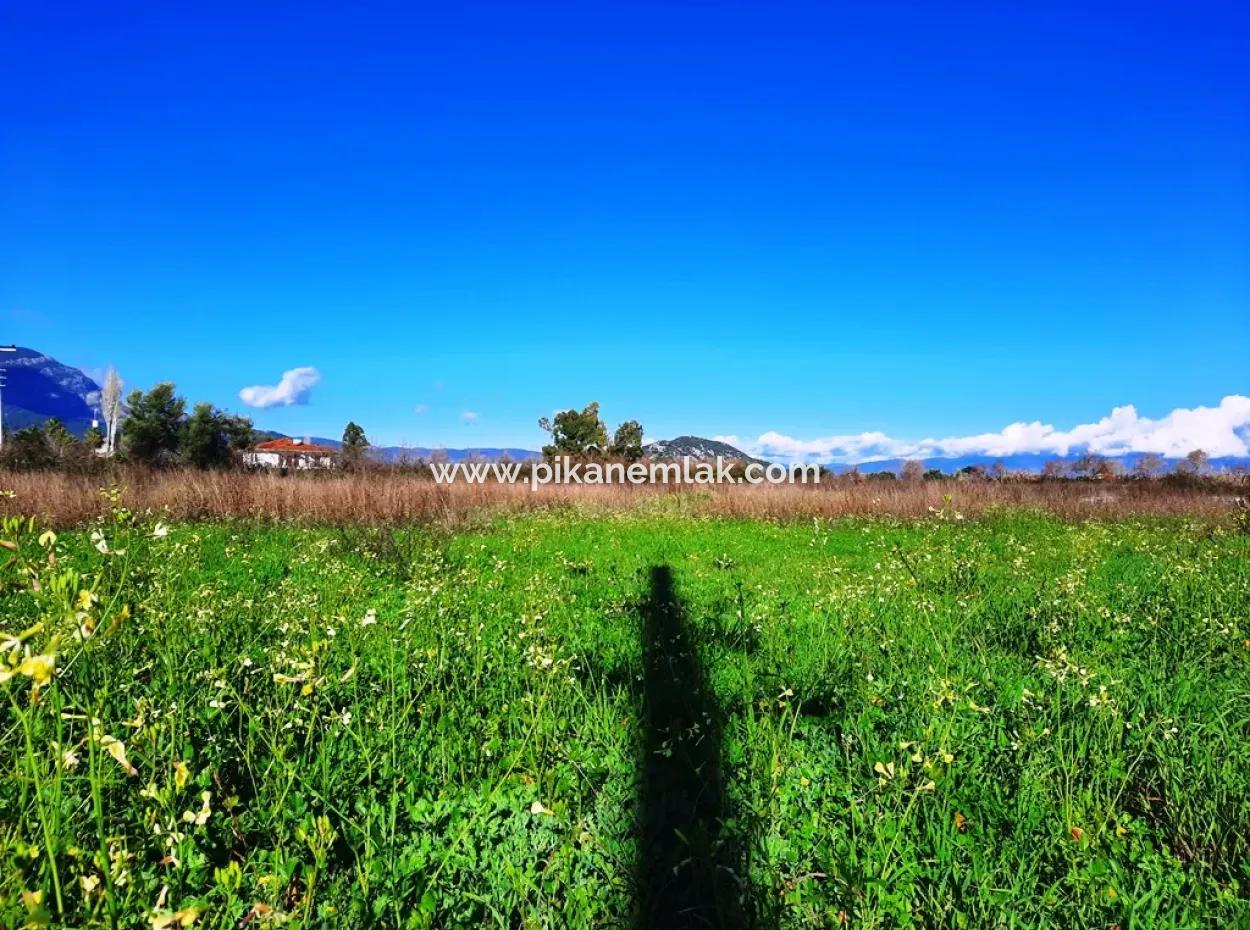 Mugla Ortaca Dalyan Is Also Fertile Land Suitable For 9 300 M2 Investment With Road Facades For Sale