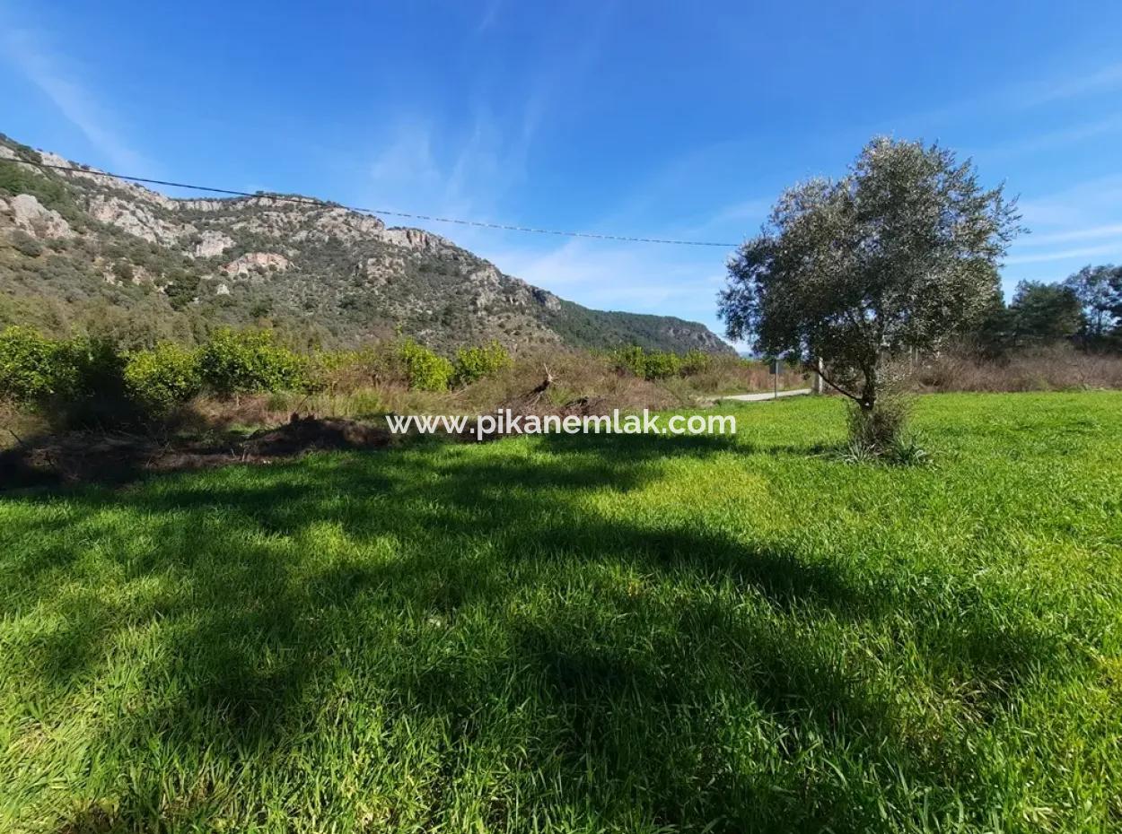 Mergenli For Sale In Ortaca Mountain Zero-Investment A Bargain Suitable Land