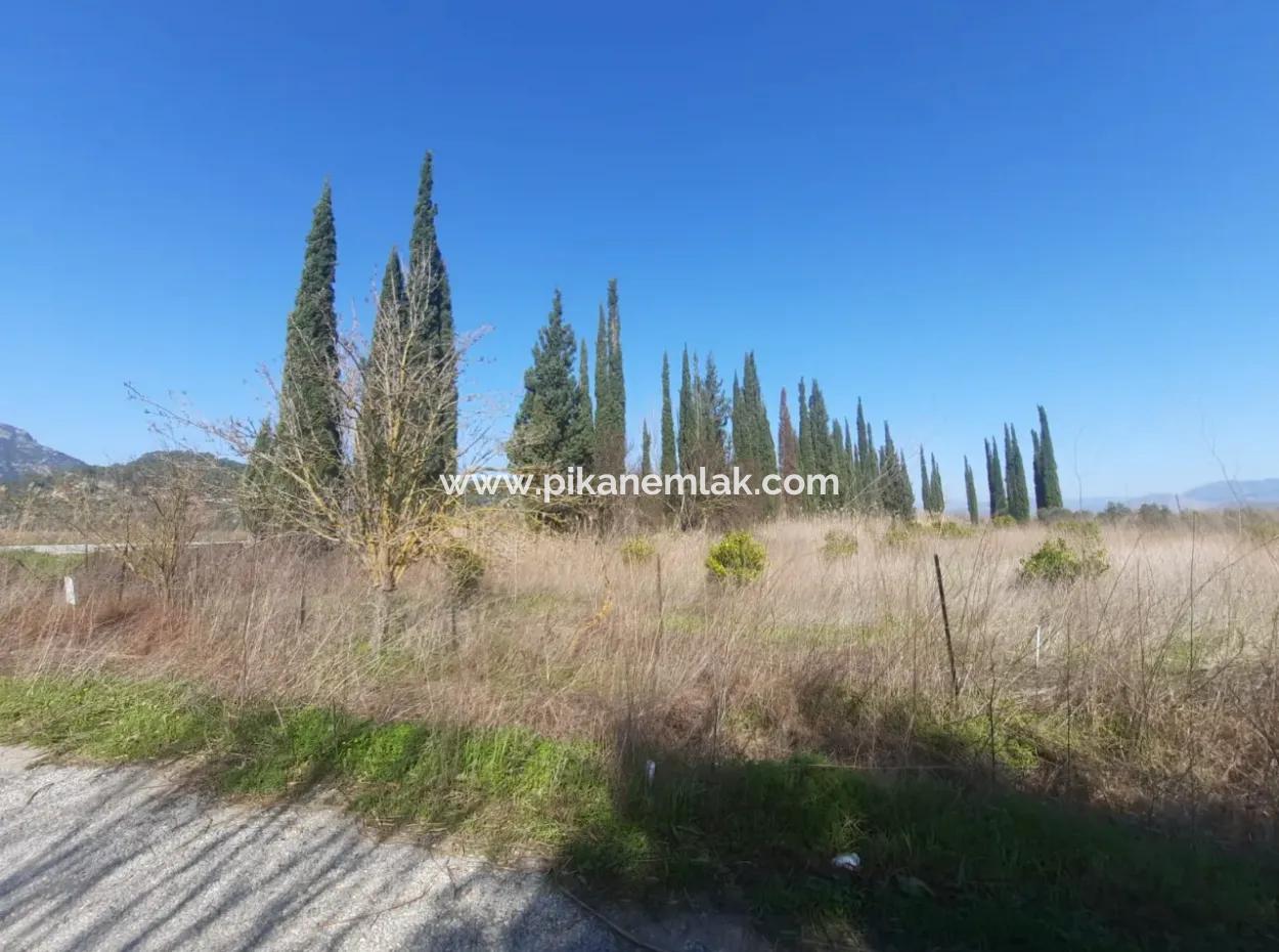 Mugla Ortaca Güzelyurt Sarıgerme Road Facing 2256 M2 Field For Sale