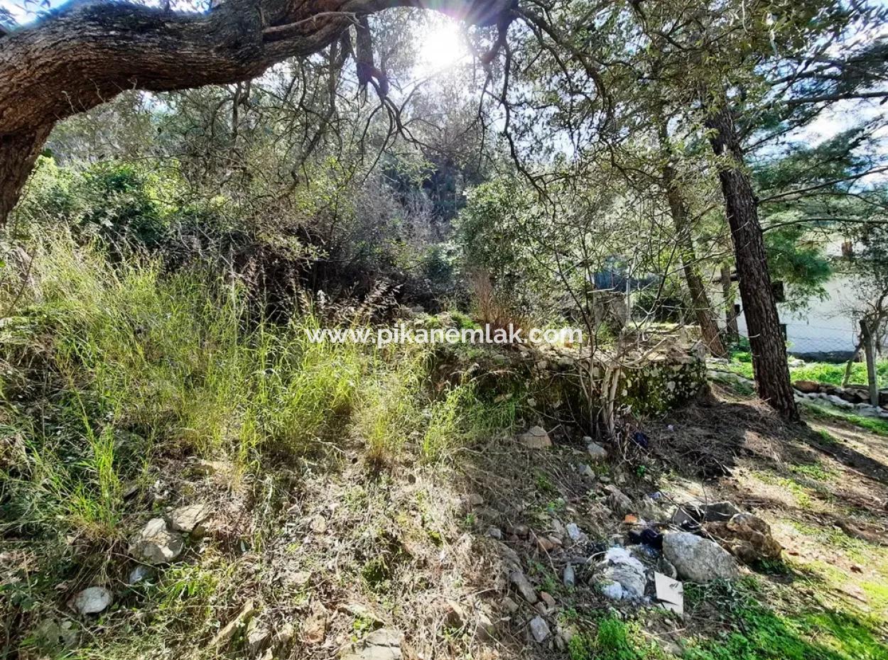 Ruined Stone Village House For Sale In Gökova And Its Land