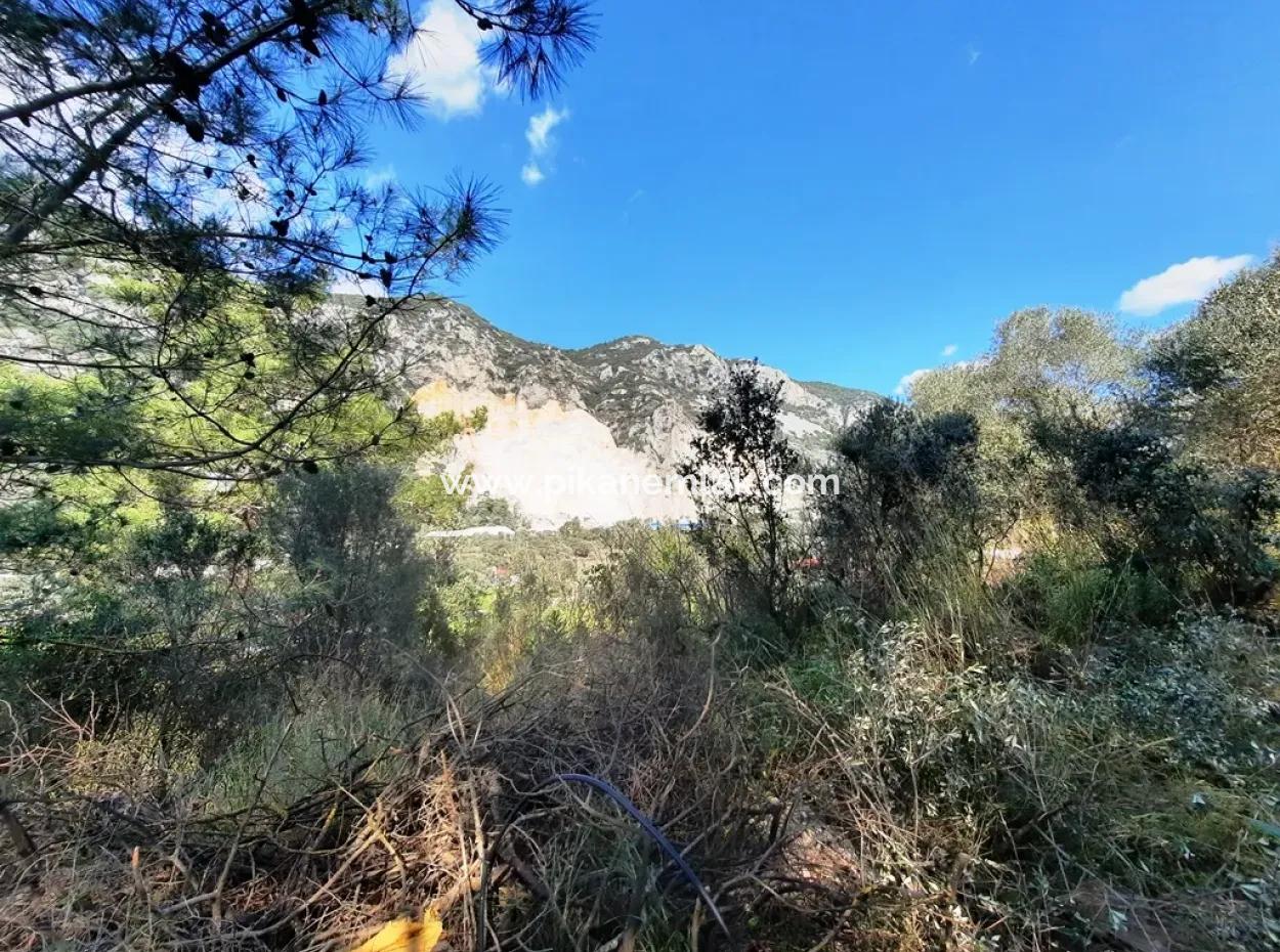 Ruined Stone Village House For Sale In Gökova And Its Land