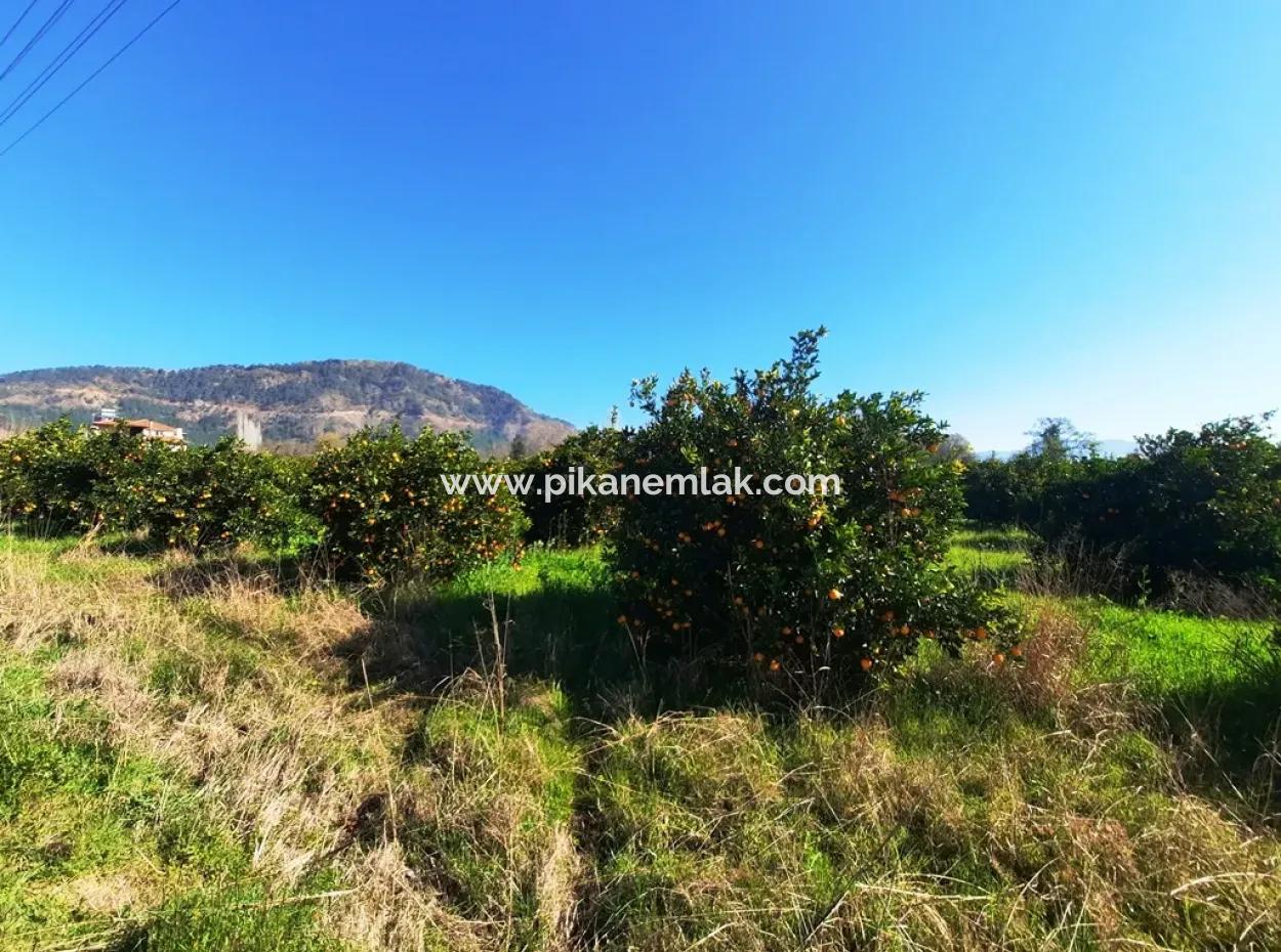 Mugla Archers Have 250 M2 Construction Rights For Sale On 1038 Plots