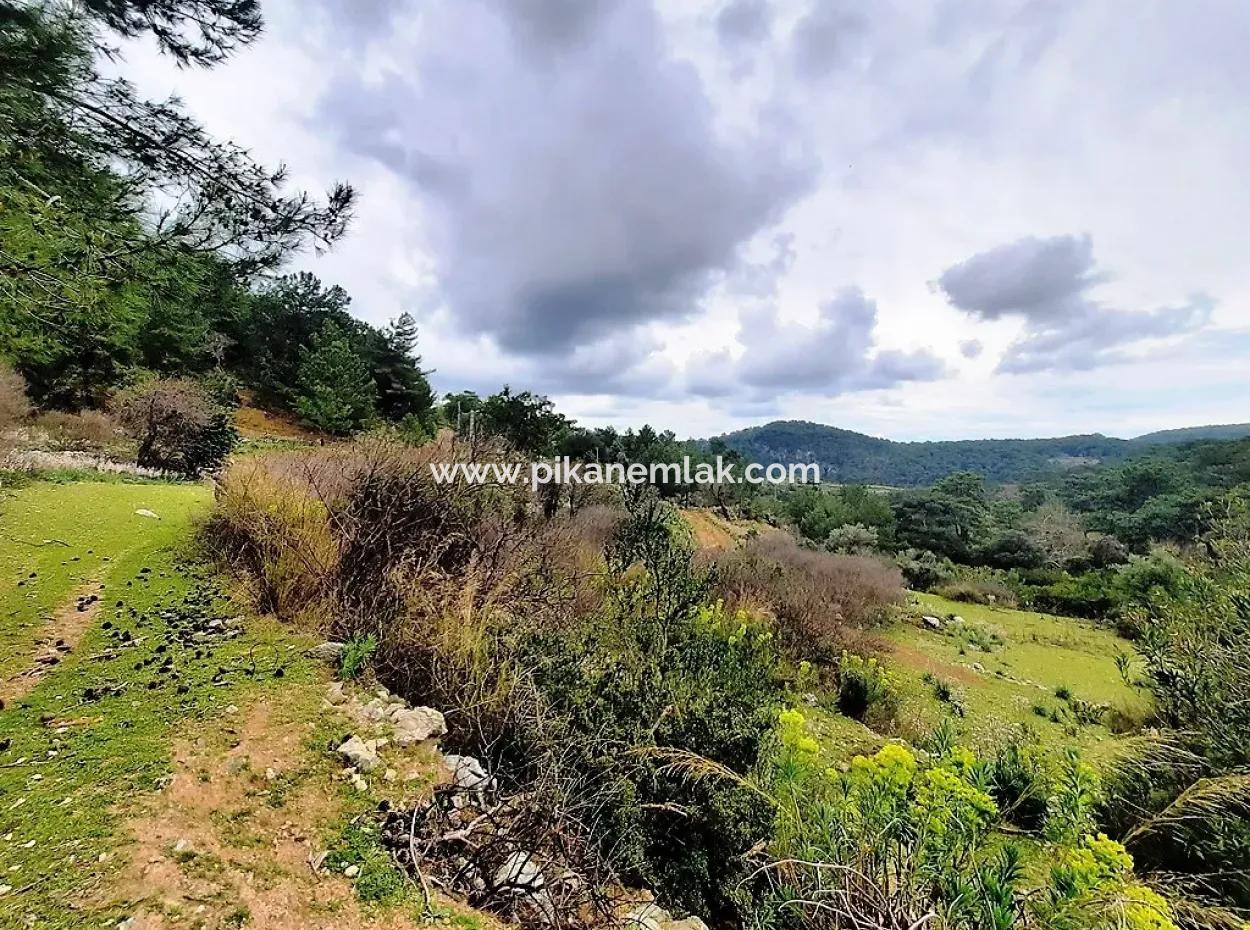 Dalyan Gökbel 13,100 M2 Field For Sale In Nature