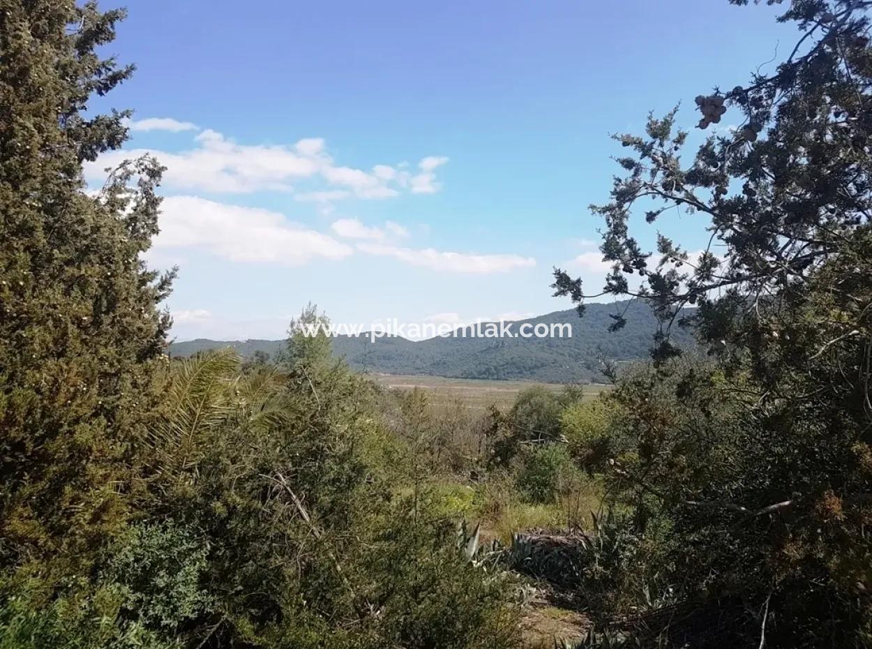 Excellent Plot For Sale Bargain, 2616 M2 Detached Parcels 6