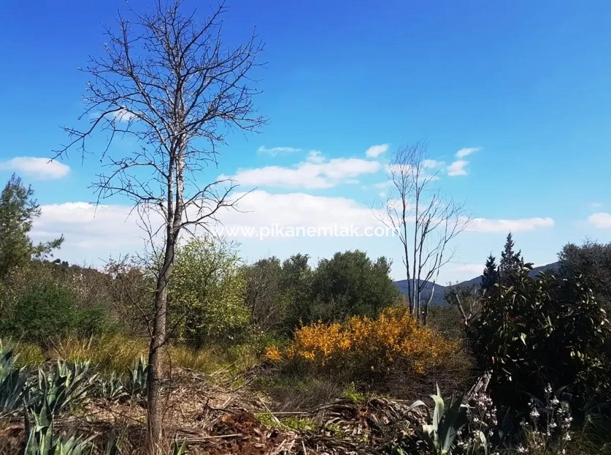 Excellent Plot For Sale Bargain, 2616 M2 Detached Parcels 6