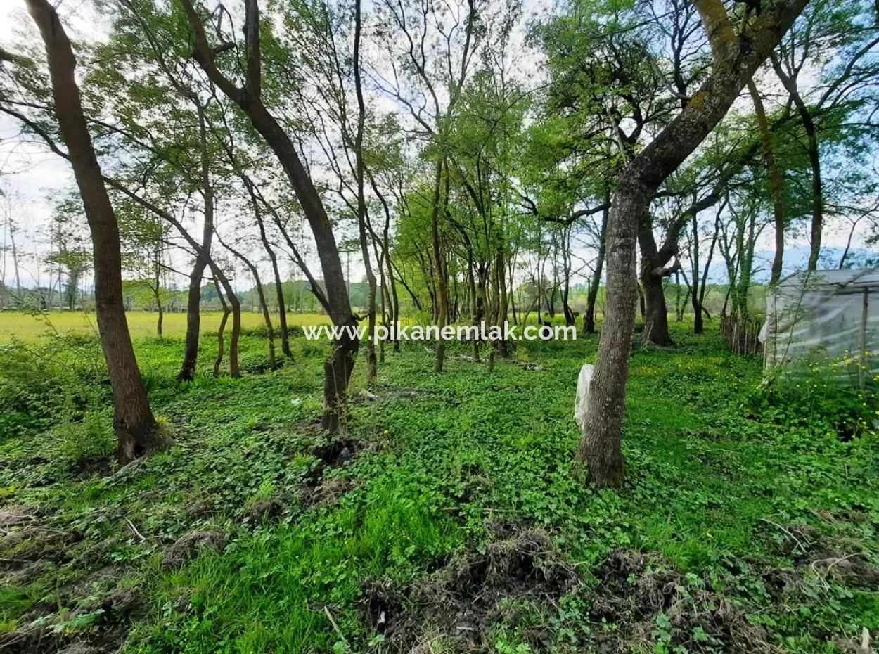 7668 M2 Bargain Land With Lake View For Sale In Köyceğiz Zeytinalani