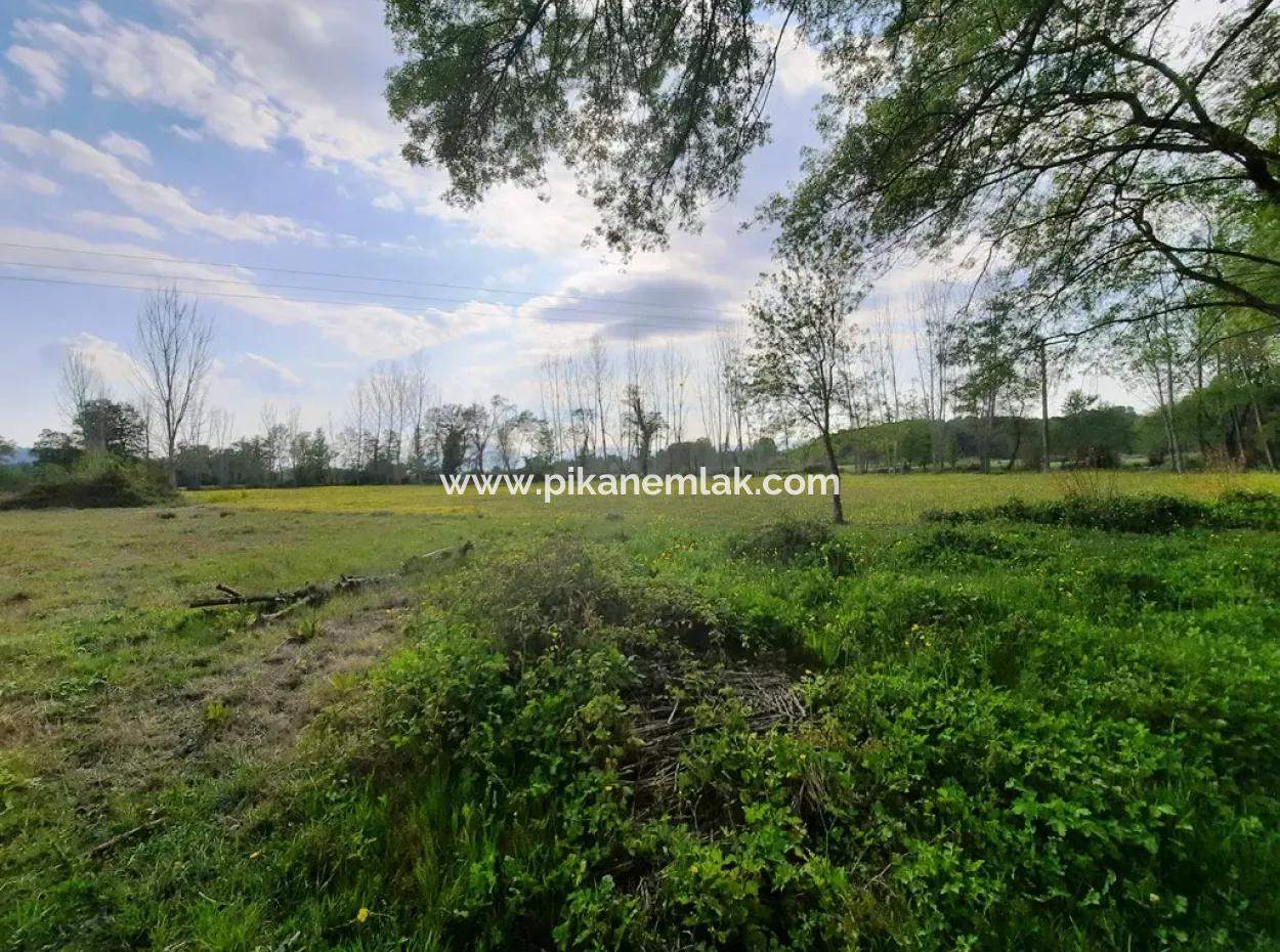 7668 M2 Bargain Land With Lake View For Sale In Köyceğiz Zeytinalani